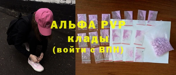 крисы Алзамай