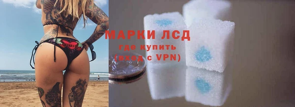 крисы Алзамай