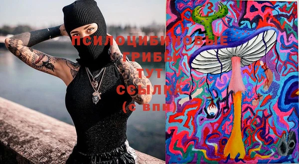 крисы Алзамай