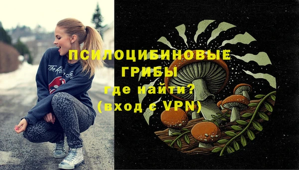 крисы Алзамай