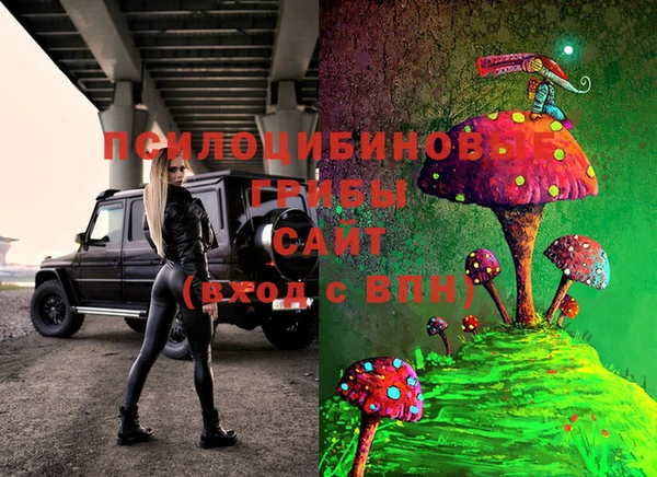 крисы Алзамай