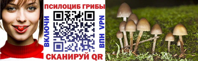 цены   Баймак  Псилоцибиновые грибы мицелий 